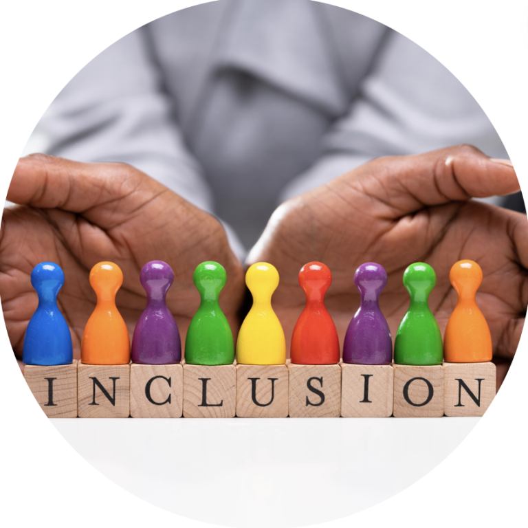 inclusion